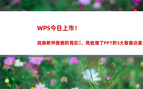 WPS今日上市！民族軟件傲嬌的背后，我梳理了PPT的5大智能功能(wps表格日期)